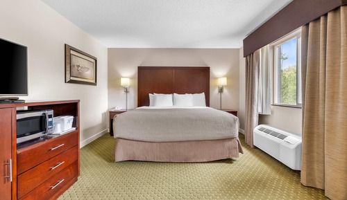 Room, 1 Queen Bed, Non Smoking (Efficiency)