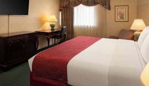 Room, 1 King Bed