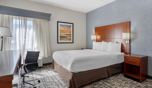 Standard Room, 1 King Bed, Accessible, Non Smoking