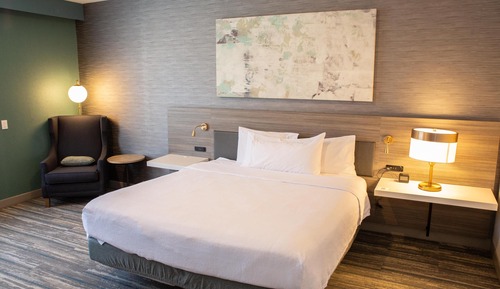 Room, 1 King Bed, Non Smoking