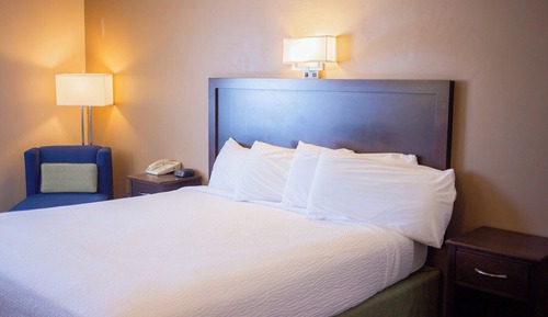Classic Room, 1 King Bed, Refrigerator & Microwave (No Pets)