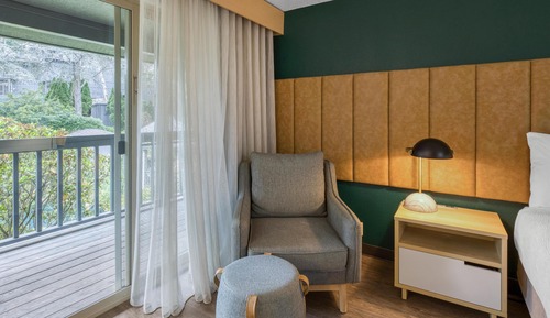 Standard Room, 1 King Bed, Accessible, Refrigerator & Microwave (Walk-in Shower)