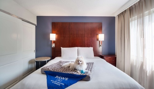 Studio Suite, 1 King Bed with Sofa bed, Accessible (Hearing)