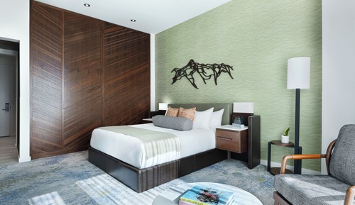 Room, 1 King Bed, Lake View (Tahoe)