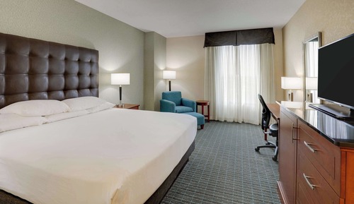 Room, 1 King Bed, Accessible (Roll in Shower)