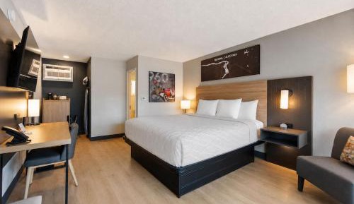 Standard King Room