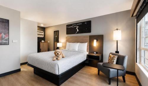 Standard Queen Room - Pet Friendly