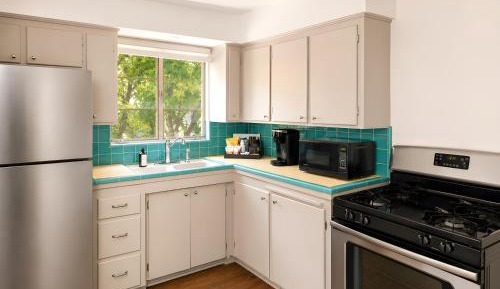 Deluxe One-Bedroom Apartment