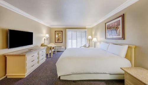 King Room with City View