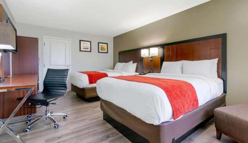 Standard Double Room