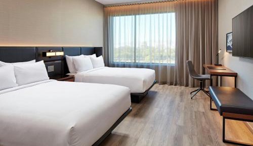 Contemporary Queen Room with Two Queen Beds
