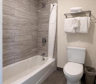 Deluxe 2 Queen Room