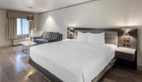 King Room with Single Sofa Bed