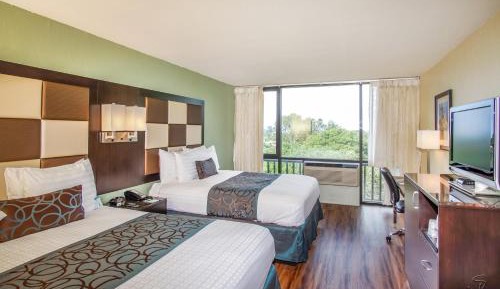Pet Friendly Queen Room with Two Queen Beds