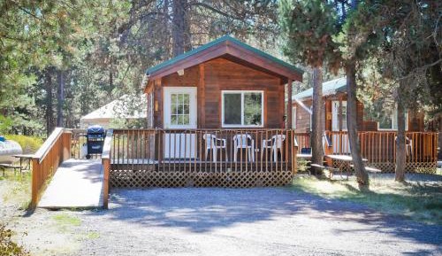Studio Cabin