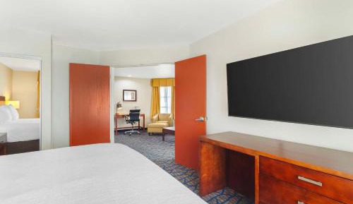 One-Bedroom King Suite with Sofa Bed - Non-Smoking