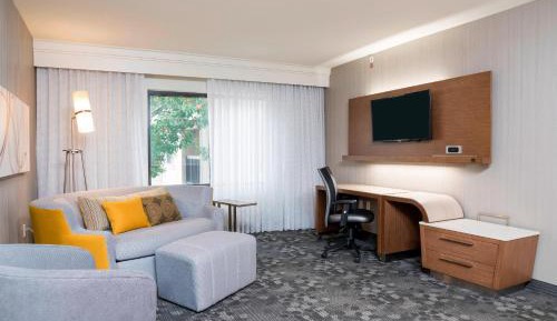 One-Bedroom King Suite with Sofa Bed