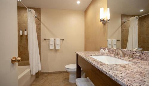Deluxe King Room with Fireplace
