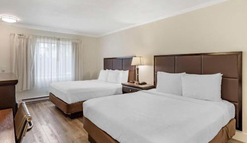 Queen Room with Two Queen Beds