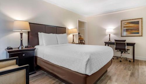 Queen Room with Walk-In Shower - Disability Access/Non-Smoking