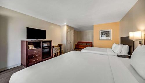 Efficiency King Suite with King Bed Queen Bed and Sofa bed - Non Smoking