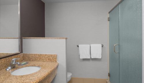 Extended King Suite, 1 Bedroom Executive Suite