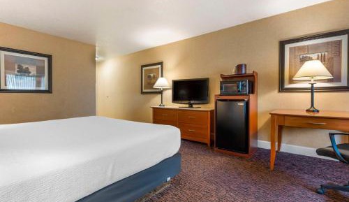 Executive King Room - Non-Smoking