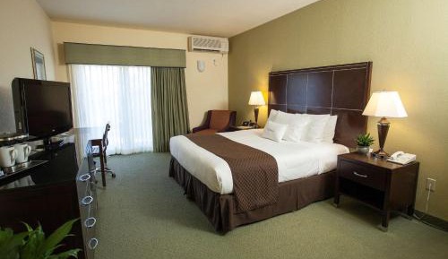 King Room - Non-Smoking