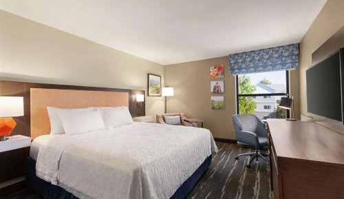 King Room with King Bed - Non-Smoking