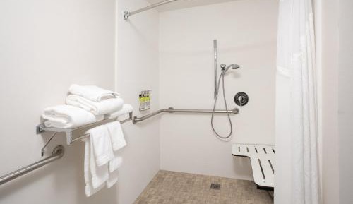 King Room - Disability Access Roll in Shower