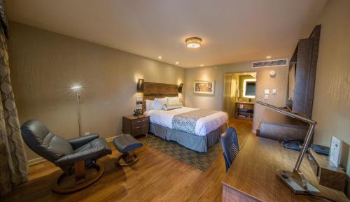 King Room