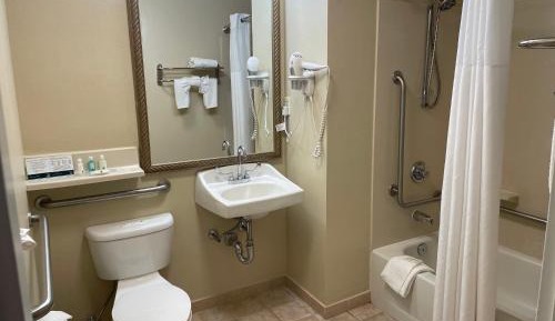 Standard Room, 1 King Bed, Accessible Roll-In Shower, Non Smoking