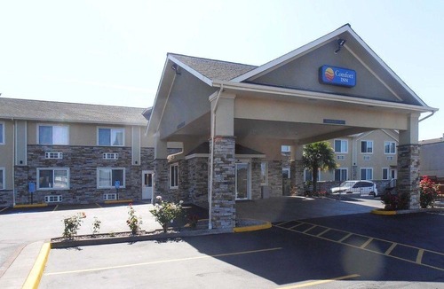 Roseburg Hotel | Comfort Inn Roseburg